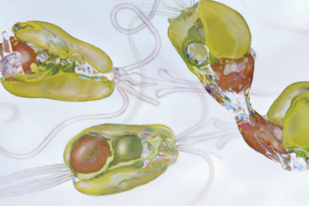 La microalga que actúa como “bomba biológica” en el océano Antártico y captura carbono a gran escala