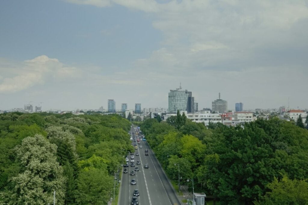 Los árboles que mejor enfrían las ciudades: claves para plantar contra el calor urbano