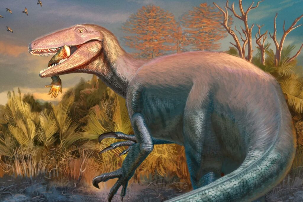Joaquinraptor, el depredador patagónico que murió con un hueso en la boca