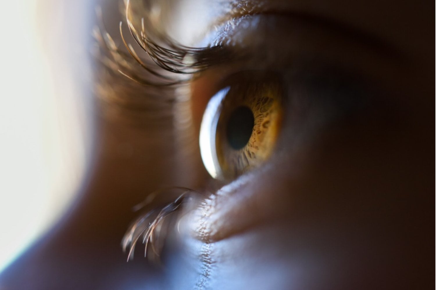 ¿Cuál es tu ojo dominante? El sencillo truco casero que revela qué ojo lidera tu visión