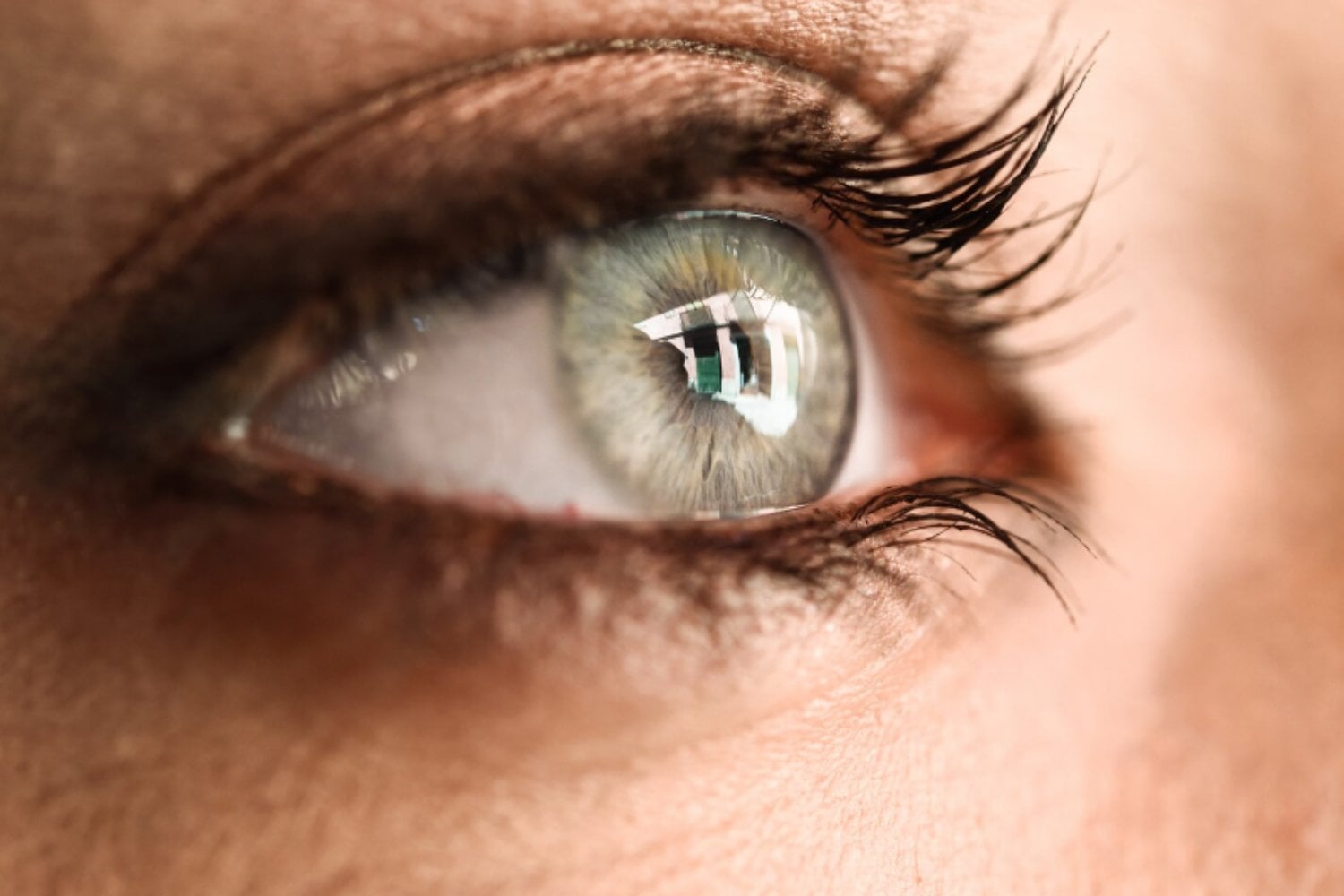 ¿Cuál es tu ojo dominante? El sencillo truco casero que revela qué ojo lidera tu visión