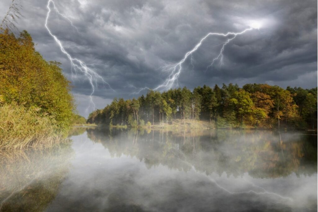 Cuando el rayo prende fuego: el cambio climático multiplica los incendios forestales