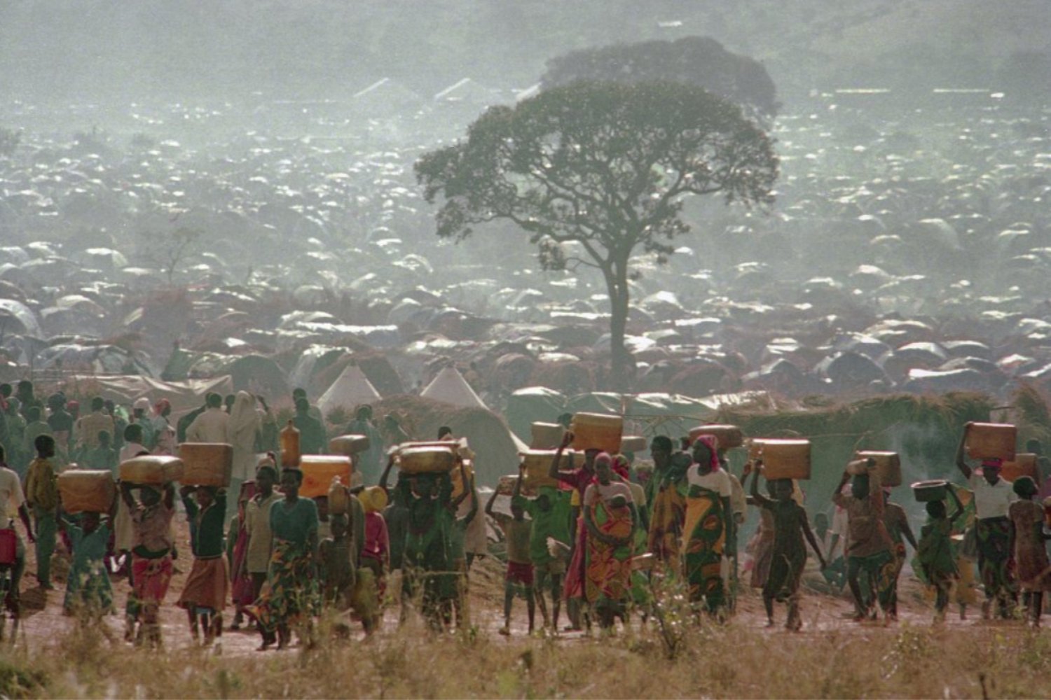 El gen que permitió al pueblo turkana sobrevivir al desierto