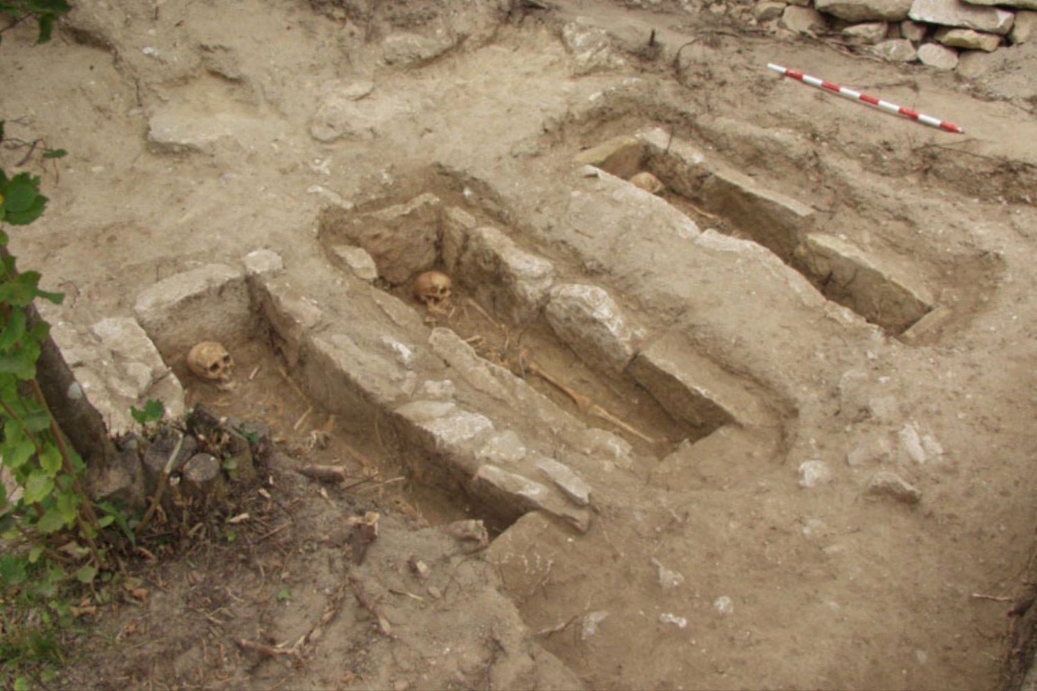 El ADN resuelve un misterio de 1500 años: la bacteria detrás de la primera gran pandemia