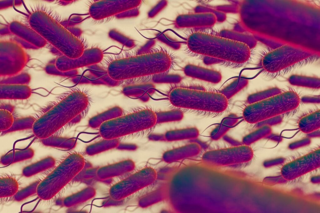 El inesperado “diálogo” entre bacterias y neuronas que podría transformar la medicina