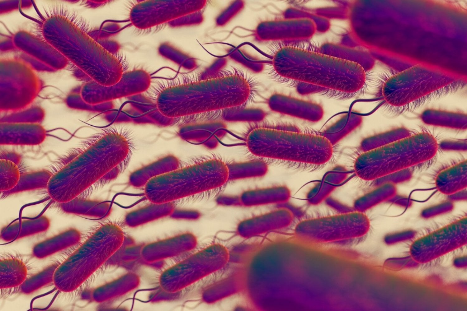 El inesperado “diálogo” entre bacterias y neuronas que podría transformar la medicina