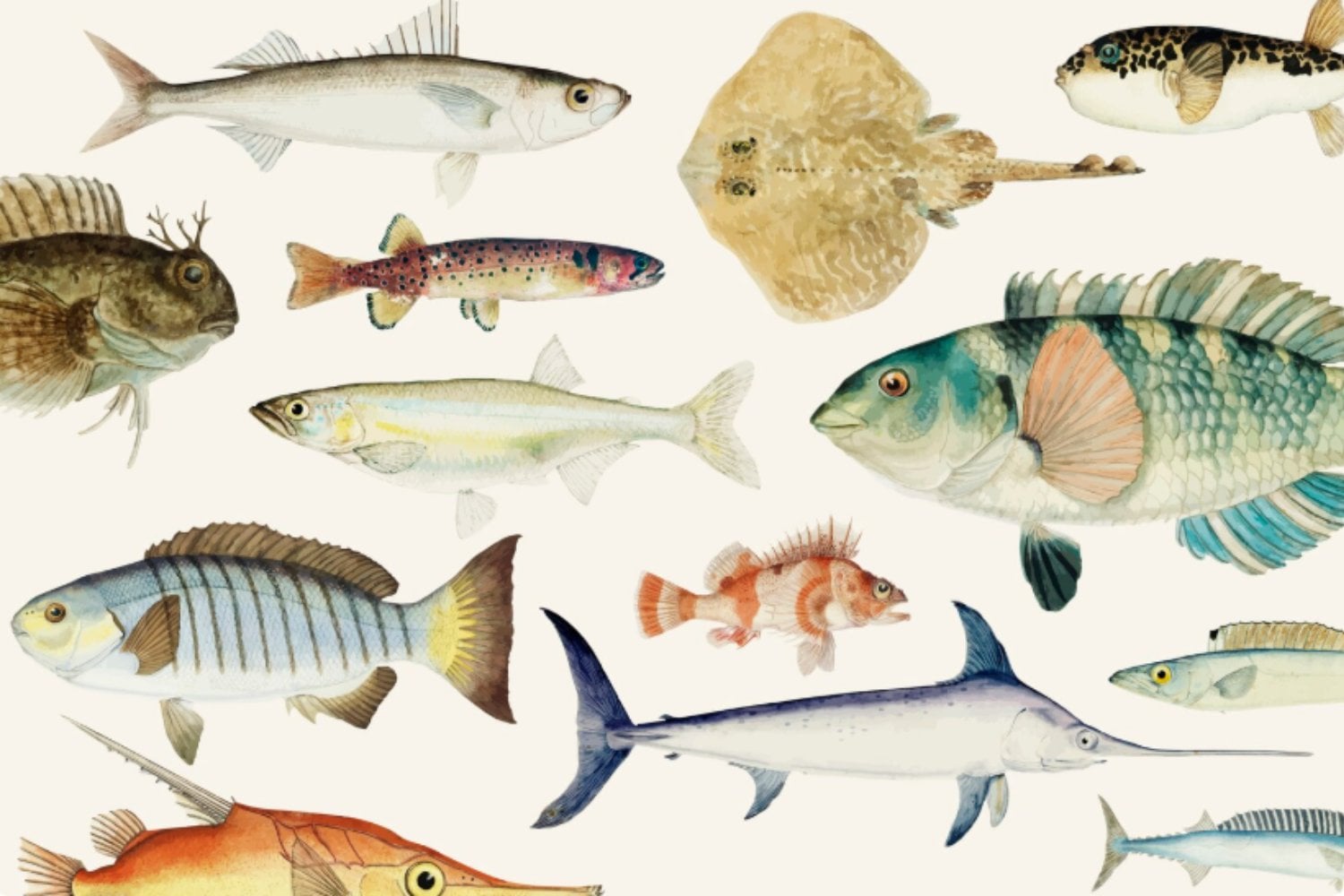 El ADN que conecta nuestras manos con los peces antiguos