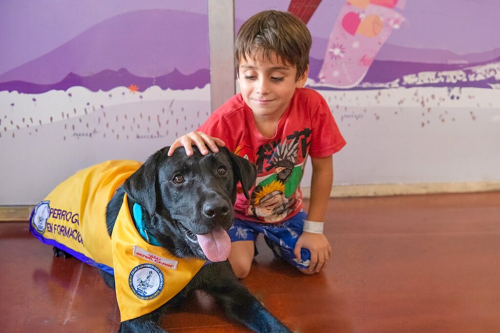 Perros que curan: cómo la terapia asistida transforma la recuperación de niños y mayores