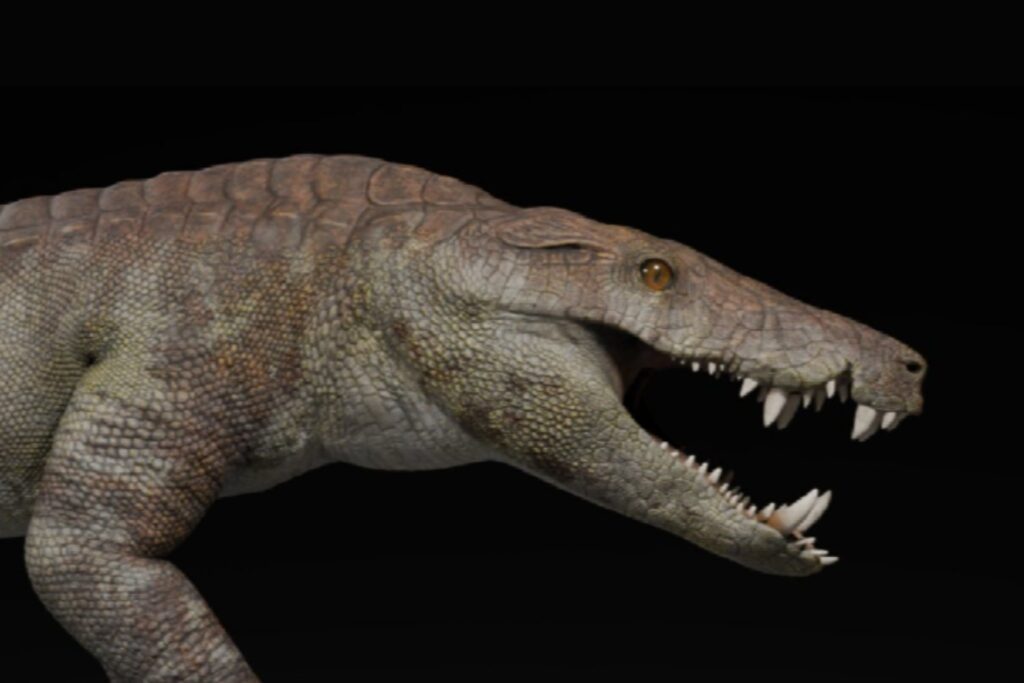El “cocodrilo feroz” que aterrorizaba la Patagonia: así era el Kostensuchus atrox