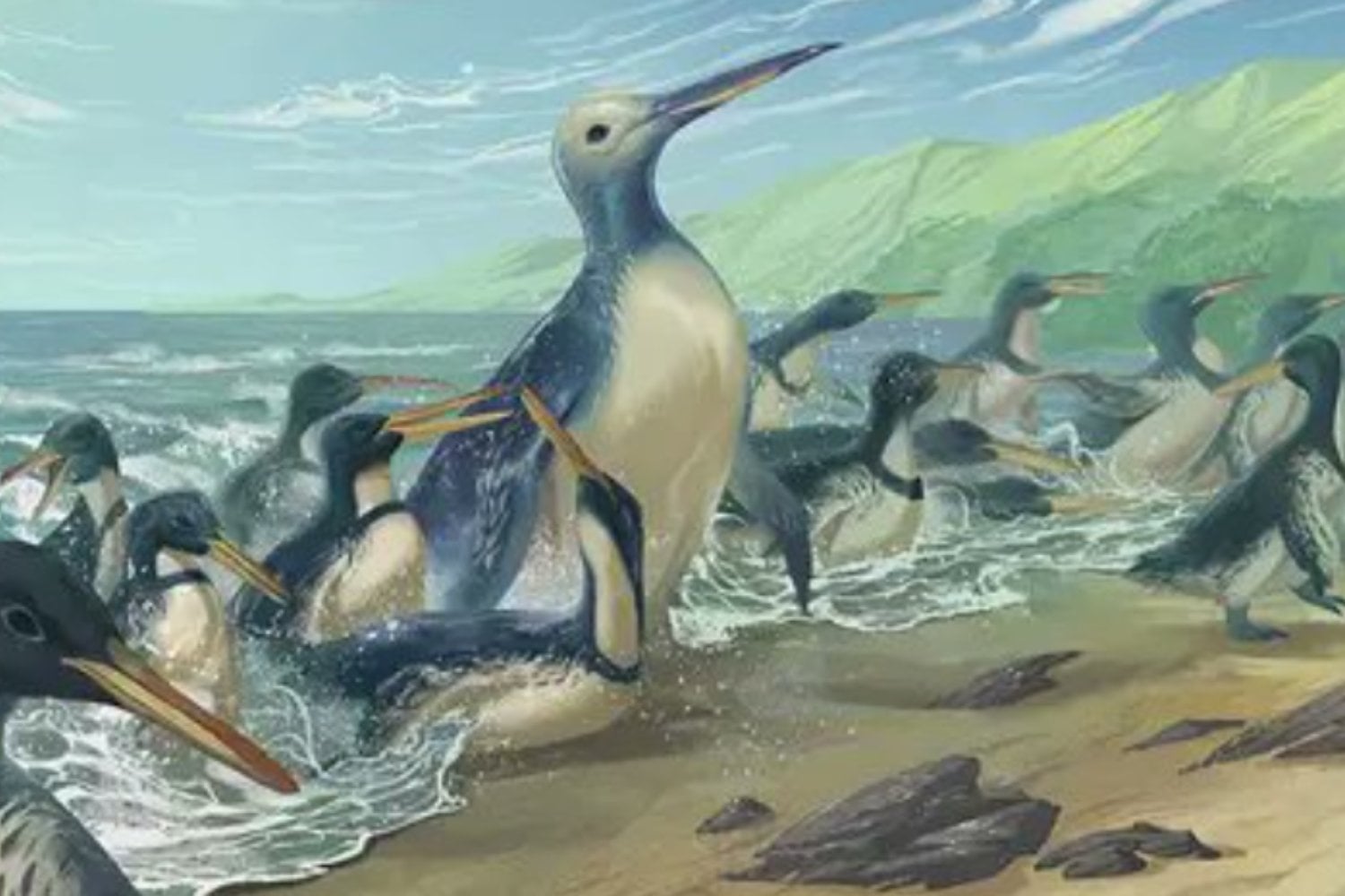 Los pingüinos que cazaban con dagas: los fósiles de Nueva Zelanda que reescriben su historia