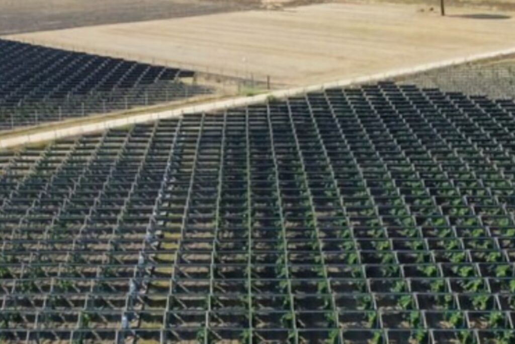 Cómo los paneles solares italianos están revolucionando el vino de Puglia