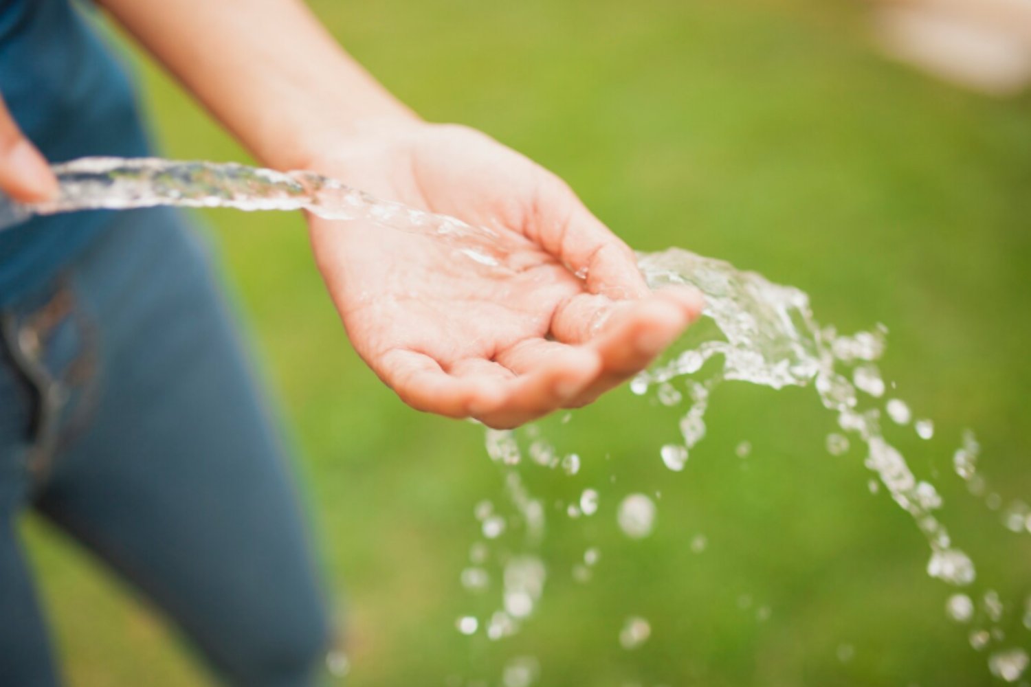 Agua oxigenada: el secreto inesperado que convierte tu botiquín en aliado del jardín