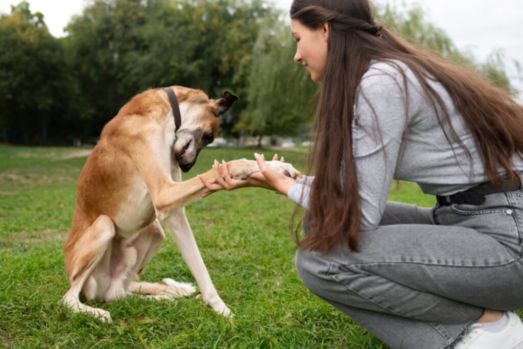 ¿La flora intestinal puede predecir la conducta de los perros? La ciencia empieza a confirmarlo