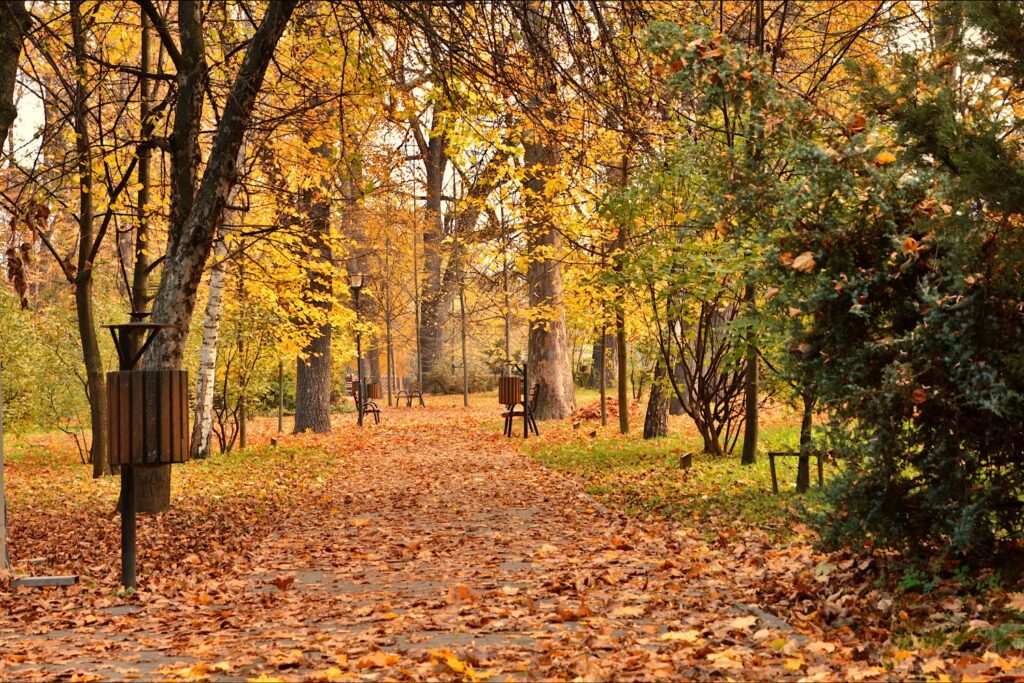 Cuando la tecnología cuida de la naturaleza: la sorprendente ayuda de la IA en los parques urbanos