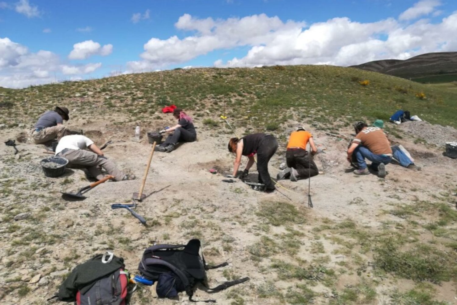 Teruel reescribe la historia: Europa sería la cuna de los espinosáuridos