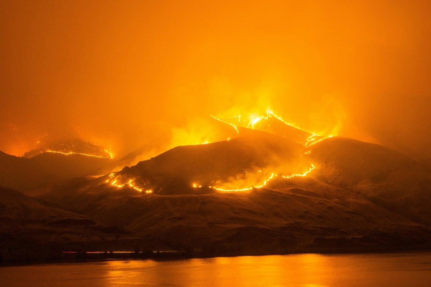 Herbívoros y fuego controlado: la alianza olvidada que puede salvar nuestros bosques