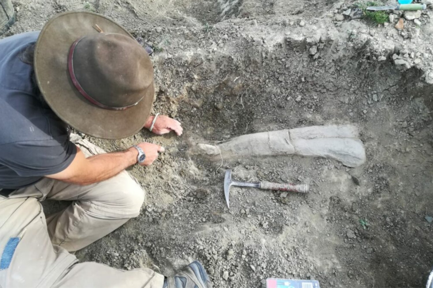 Teruel reescribe la historia: Europa sería la cuna de los espinosáuridos