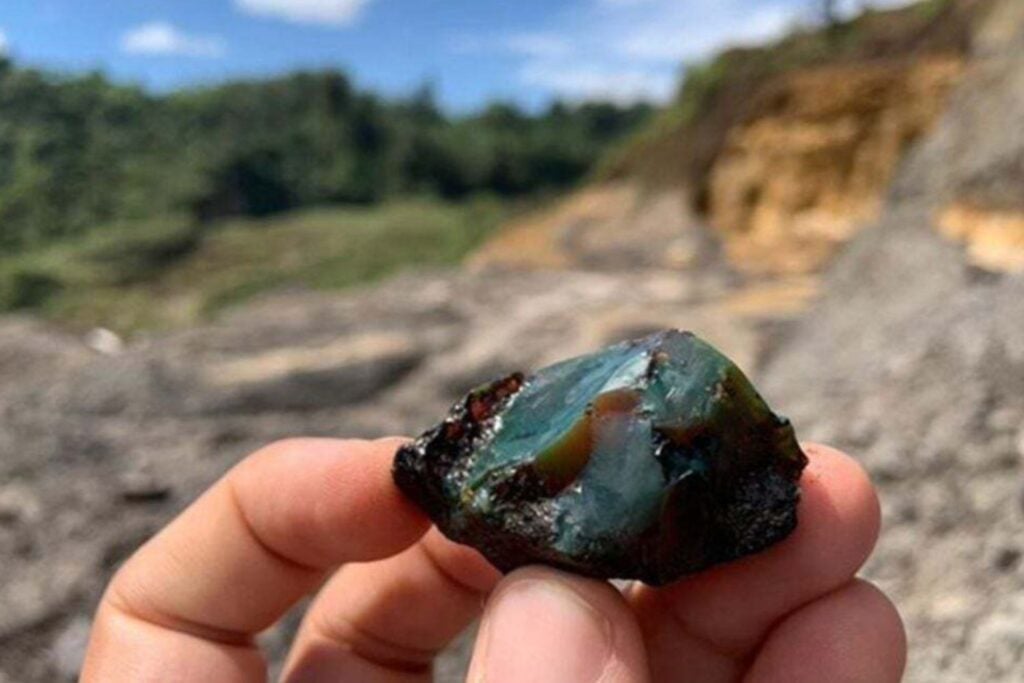 El ámbar de Ecuador que atrapó insectos hace 112 millones de años: una ventana al Cretácico