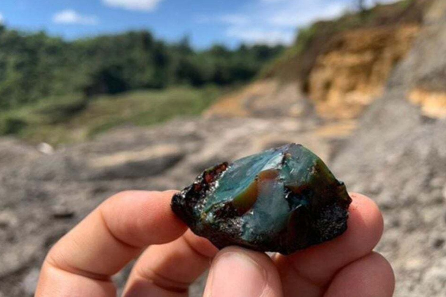 El ámbar de Ecuador que atrapó insectos hace 112 millones de años: una ventana al Cretácico