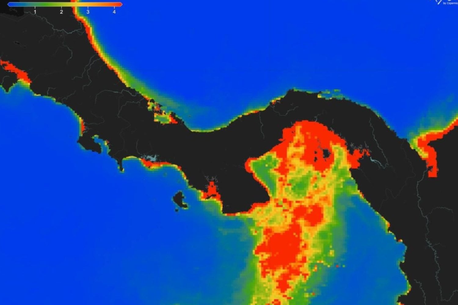 Golfo de Panamá en alerta: un fenómeno vital para la vida marina se interrumpió por primera vez