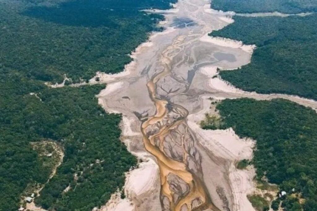 El Amazonas en jaque: una sequía histórica amenaza la selva por cambios en el Atlántico