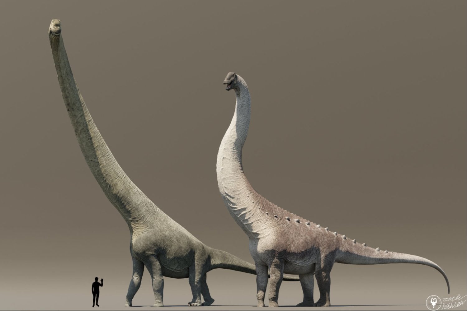 Los cinco animales más grandes de la historia: del depredador marino extinto al gigante que aún nada entre nosotros