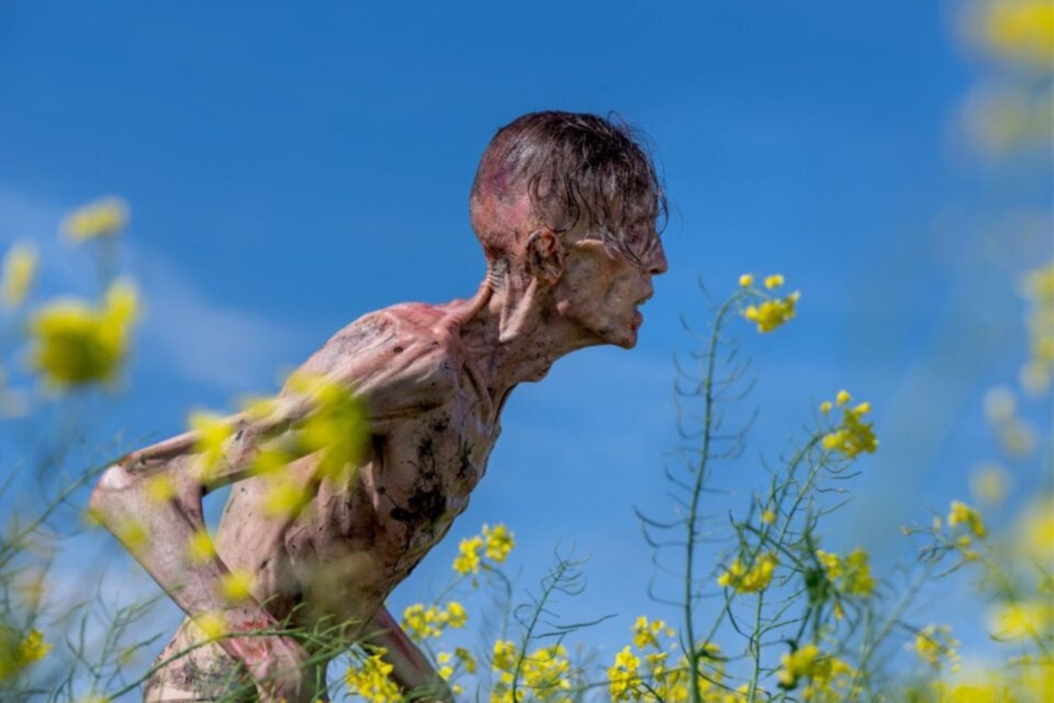 Cillian Murphy Zombie