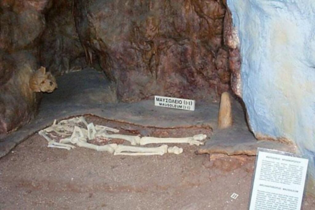 Craneo Fundido En Cueva
