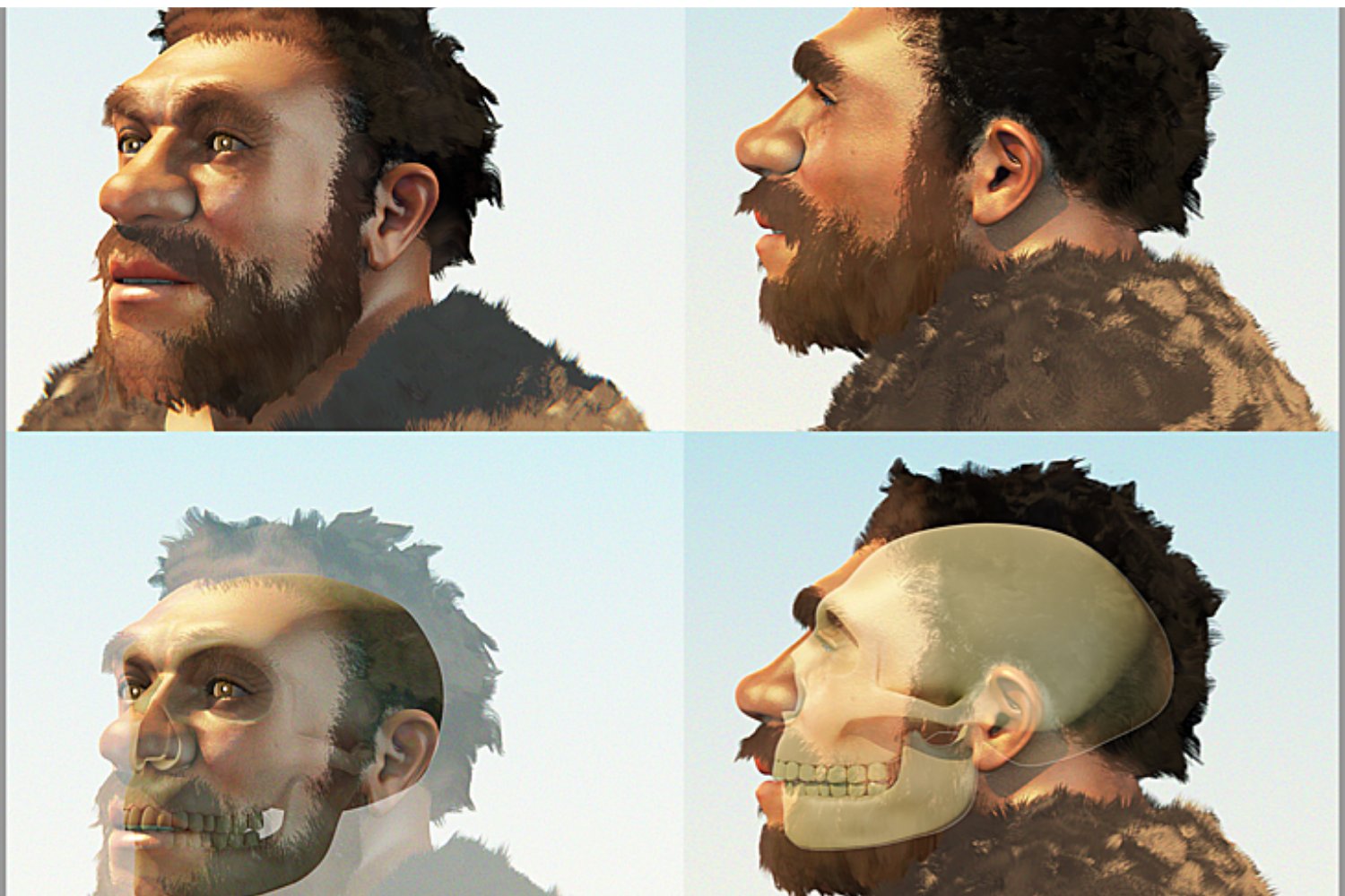 Reconstruyen Rostro Neandertal