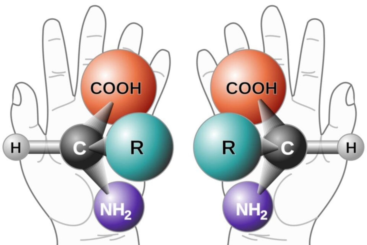 Riesgos De La Vida Especular