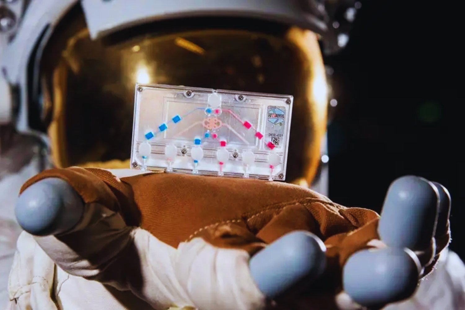 La NASA enviará tejido humano a la Luna. Así funciona AVATAR, el experimento que podría cambiar la medicina espacial (y la terrestre)