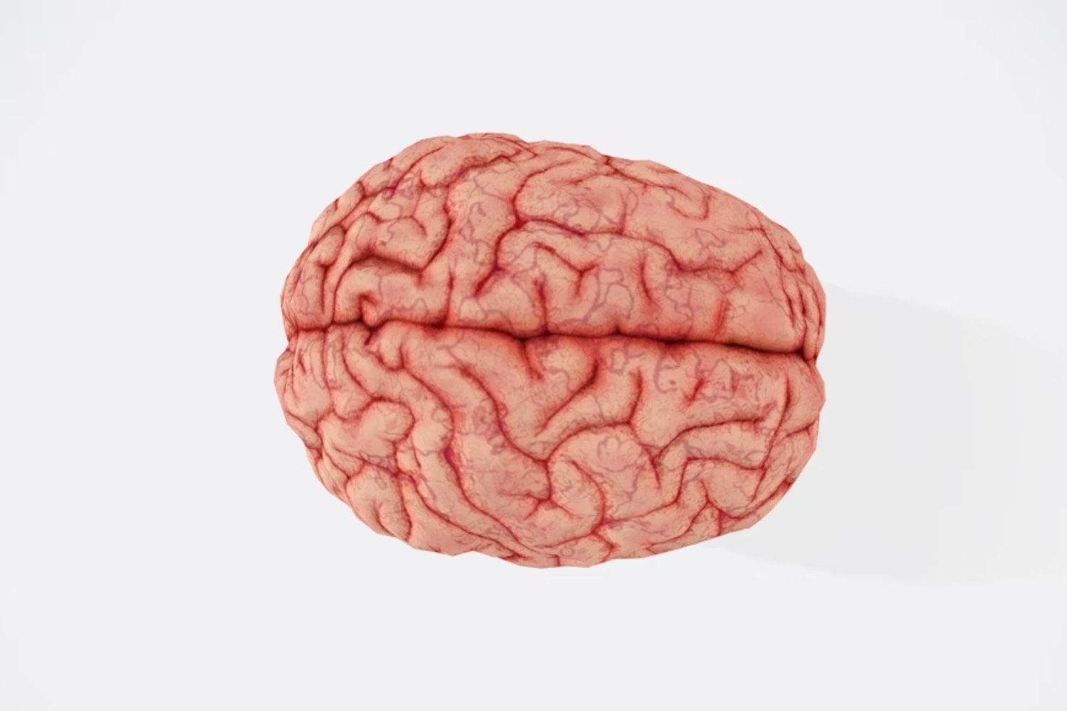 El cerebro no se apaga al morir: sigue cambiando, y la ciencia acaba de descubrirlo