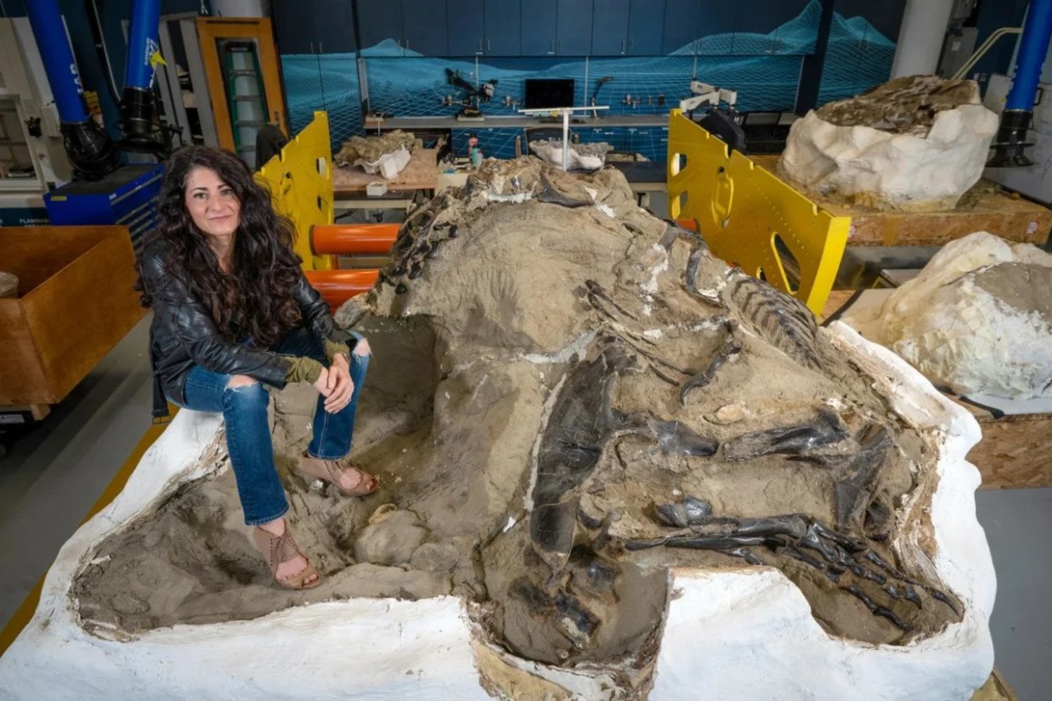 El fósil que cambió todo lo que creíamos sobre el T. rex. El legendario hallazgo de los “dinosaurios en duelo” revela una nueva especie y reescribe la historia del depredador más famoso del planeta