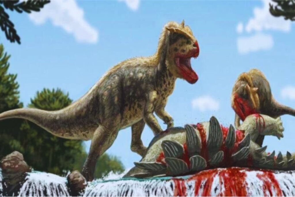 El fósil que cambió todo lo que creíamos sobre el T. rex. El legendario hallazgo de los “dinosaurios en duelo” revela una nueva especie y reescribe la historia del depredador más famoso del planeta