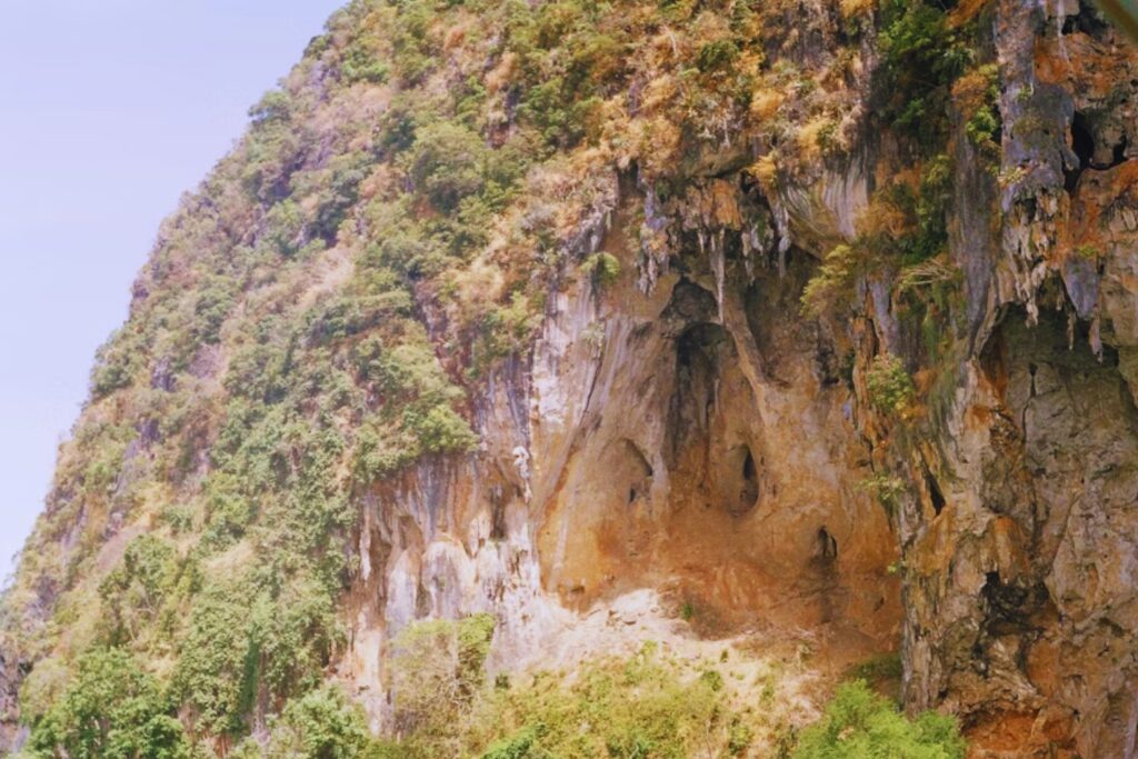Criaturas que parecen dragones y se camuflan como piedra: así fue el hallazgo de una especie desconocida mientras se reproducía en una cueva tailandesa