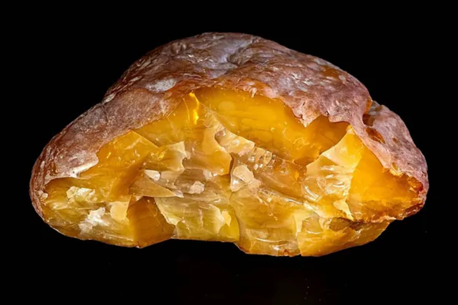 Hallan en Rusia un fósil de luz: una pieza de ámbar de más de dos kilos, testigo intacto de un bosque extinto