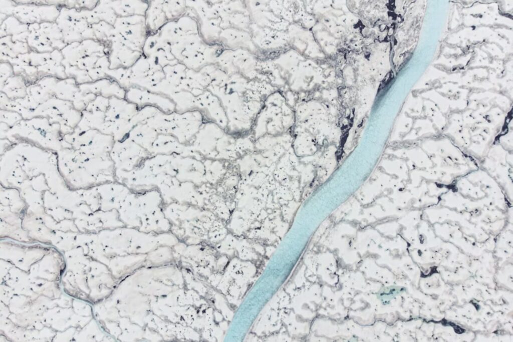 El Ártico guarda un secreto bajo el hielo. Descubren bacterias que crean fertilizante natural para las algas y podrían reconfigurar la vida marina del futuro