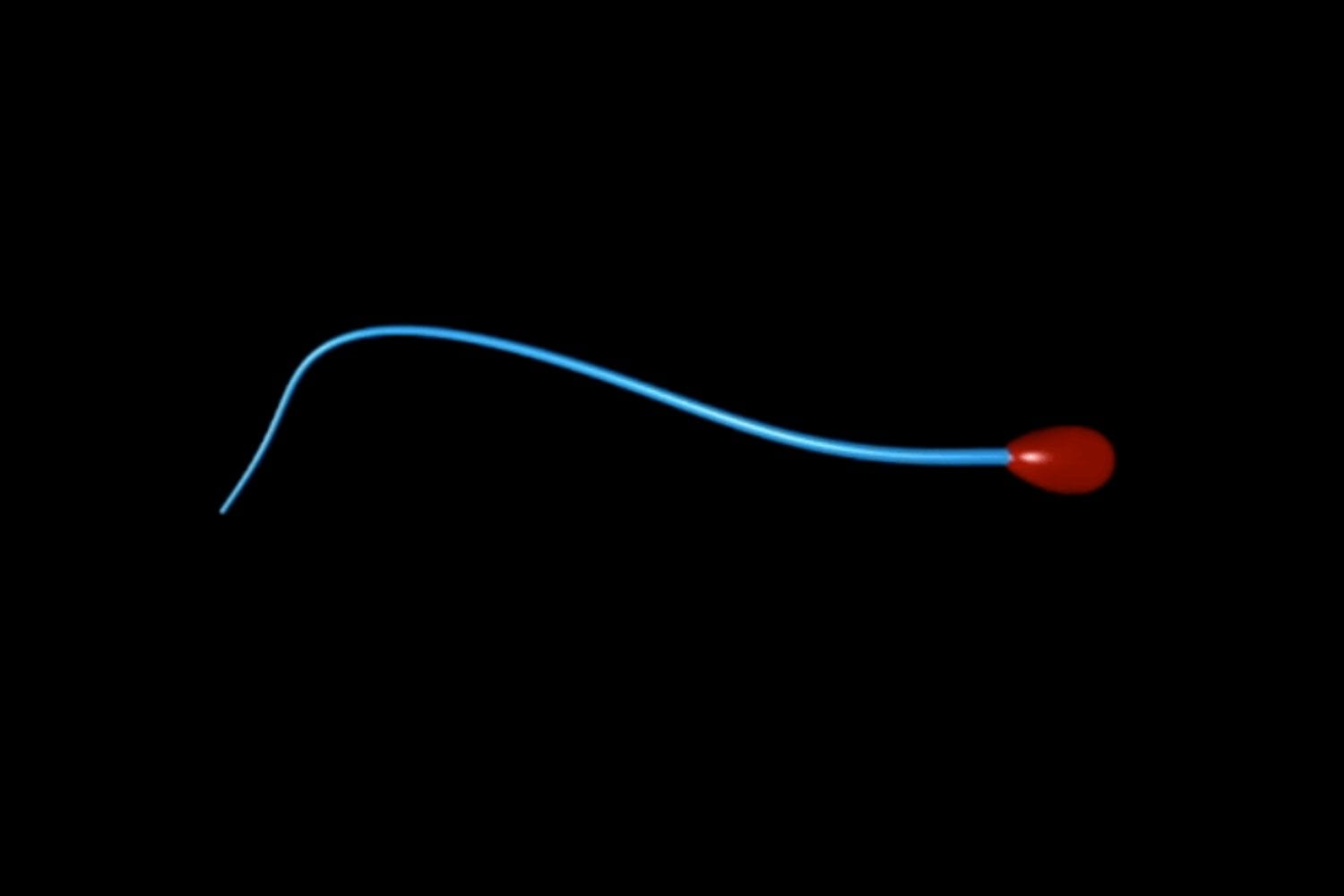 Ser padre a cualquier edad parece un triunfo de la biología. Hasta que la biología misma empieza a rebelarse