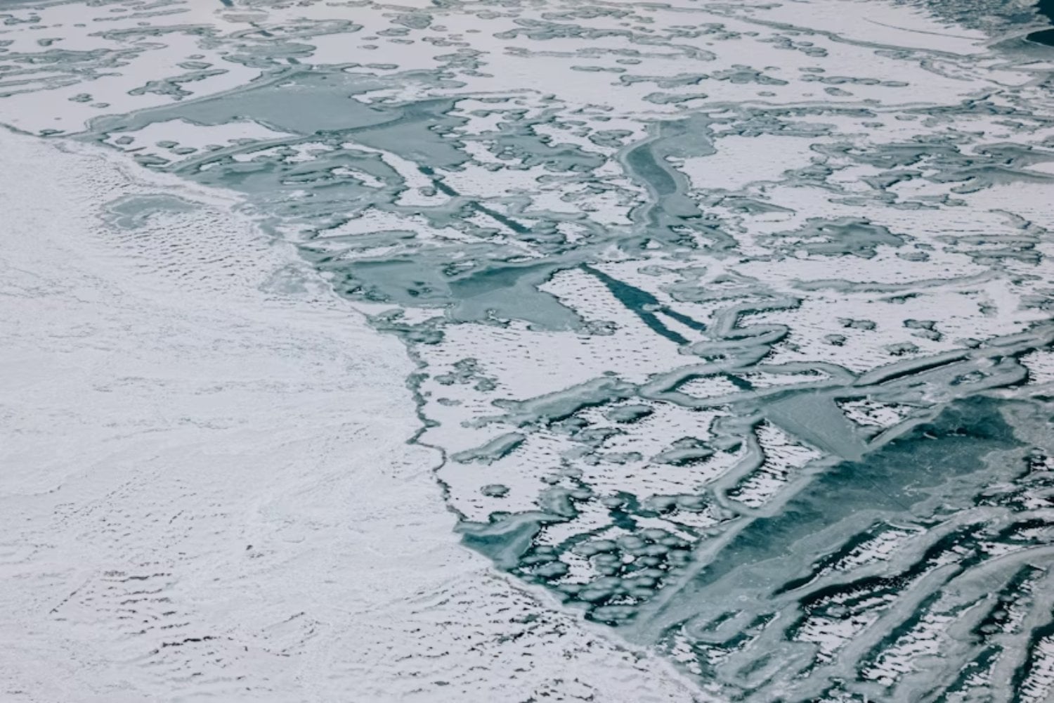 El Ártico guarda un secreto bajo el hielo. Descubren bacterias que crean fertilizante natural para las algas y podrían reconfigurar la vida marina del futuro
