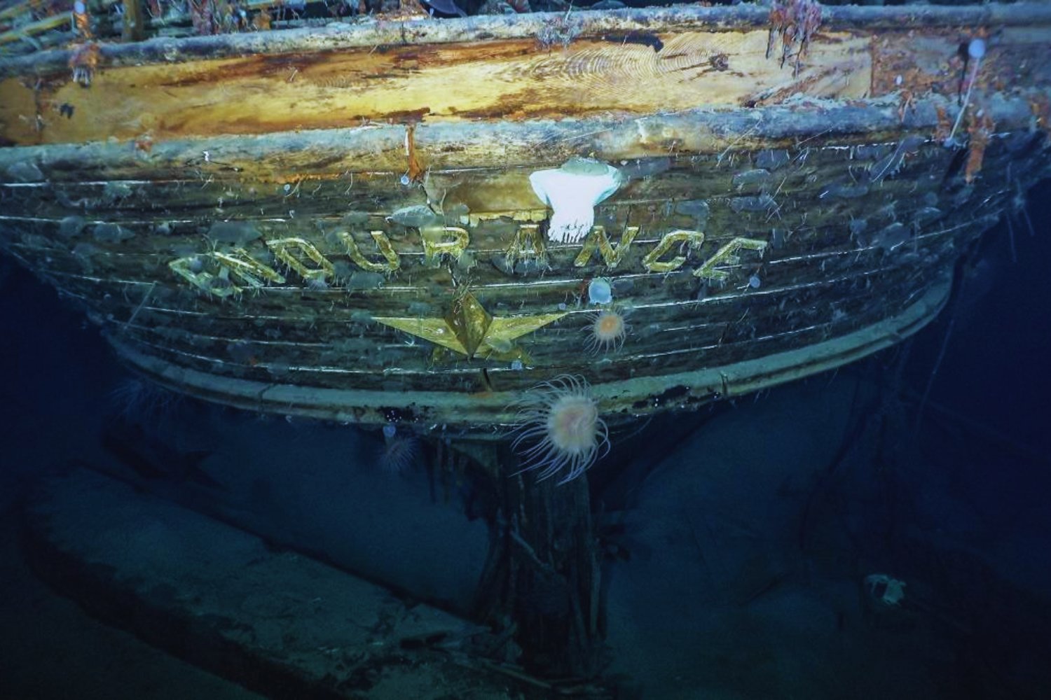 El mito del hielo que nunca existió: lo que realmente hundió al Endurance de Shackleton, según la ciencia