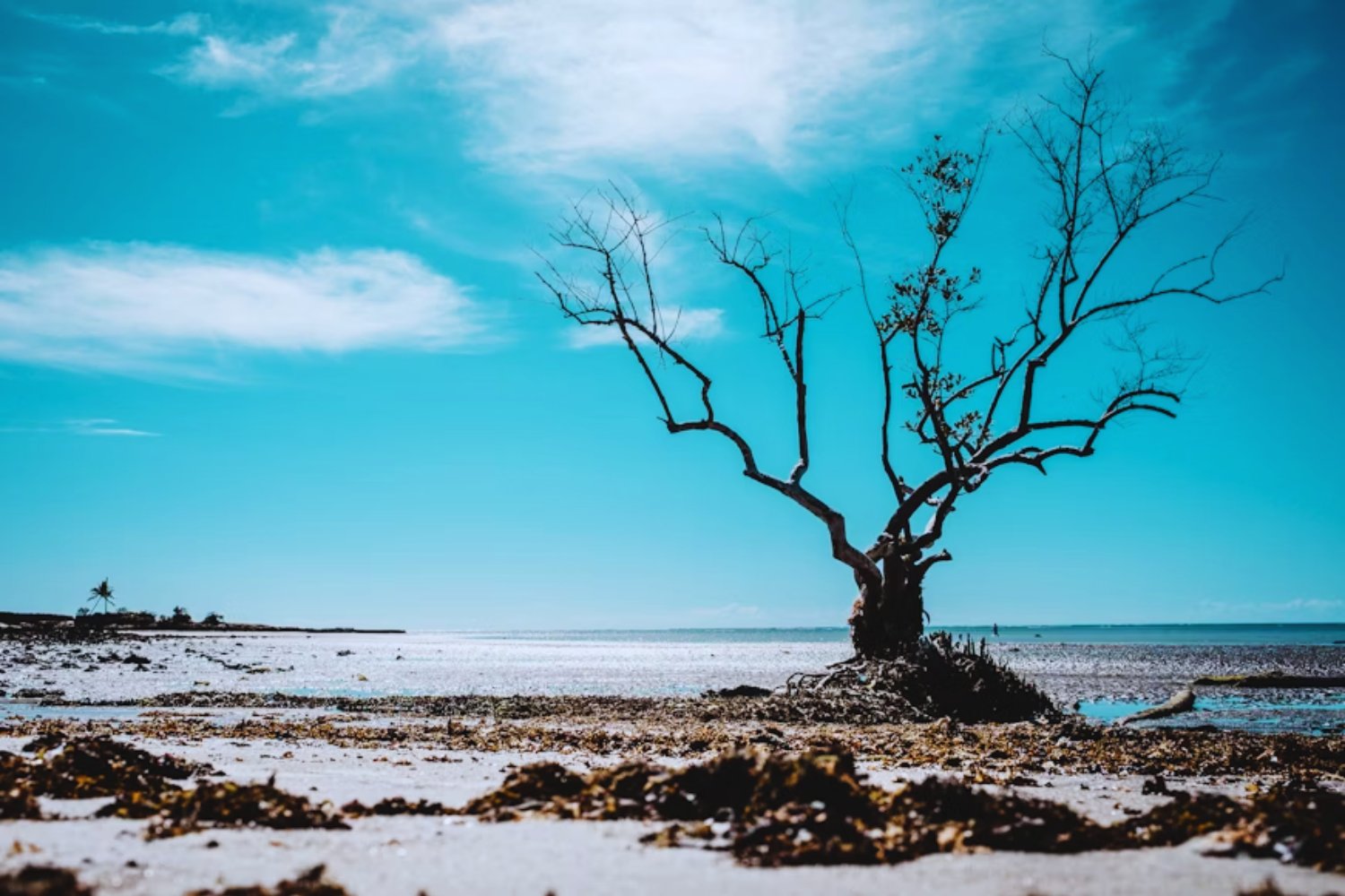 El día en que el Mar Rojo dejó de existir: se secó por completo y un torrente del Índico lo devolvió a la vida en un cataclismo geológico
