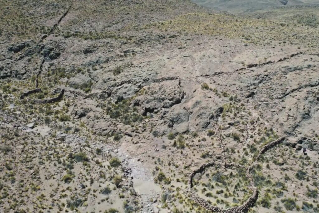 Los satélites detectaron 76 estructuras misteriosas en los Andes. Ahora sabemos que los antiguos cazadores las usaron para atrapar vicuñas