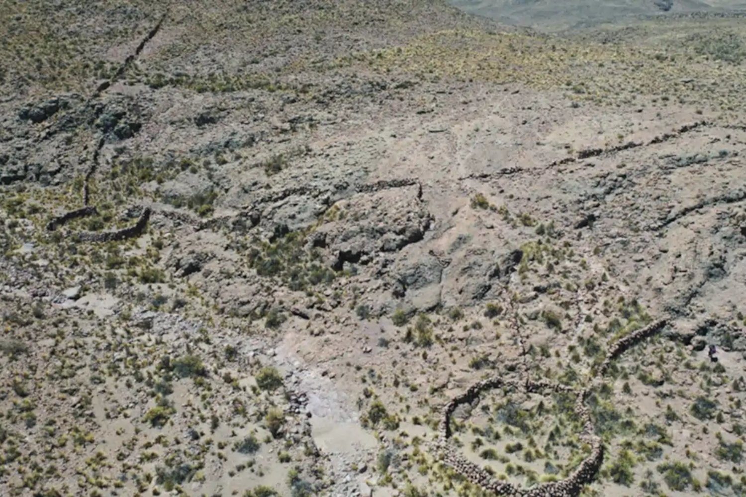 Los satélites detectaron 76 estructuras misteriosas en los Andes. Ahora sabemos que los antiguos cazadores las usaron para atrapar vicuñas