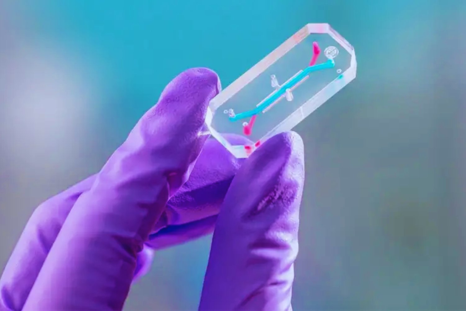 La NASA enviará tejido humano a la Luna. Así funciona AVATAR, el experimento que podría cambiar la medicina espacial (y la terrestre)