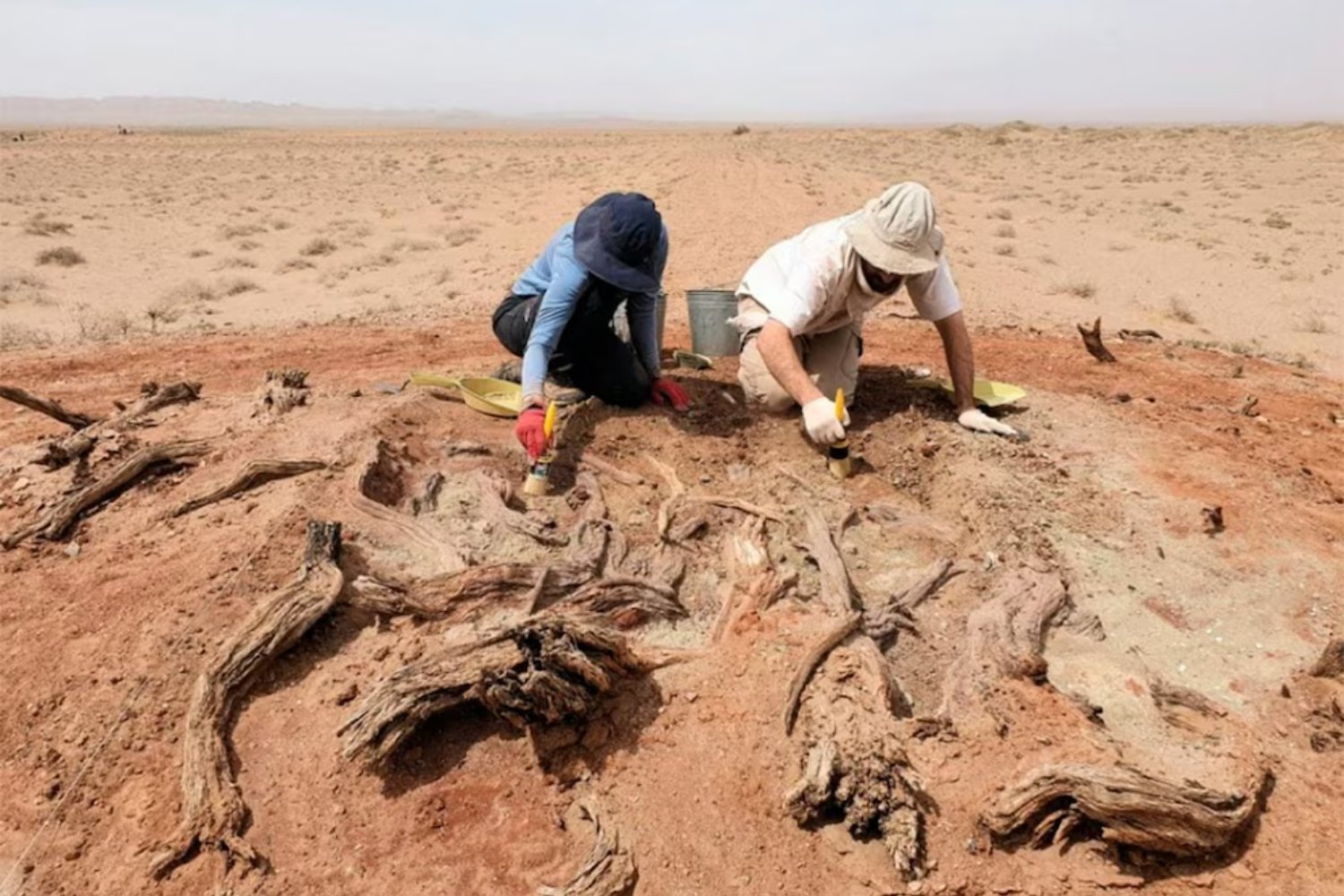 La otra muralla que desafía a China. Descubren los secretos de una fortificación perdida en el desierto de Gobi
