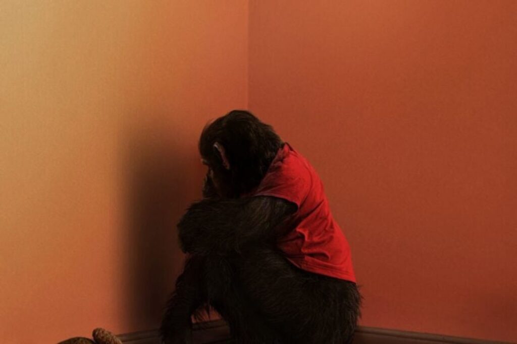 Diseño Sin Título 2025 10 17t091558.187