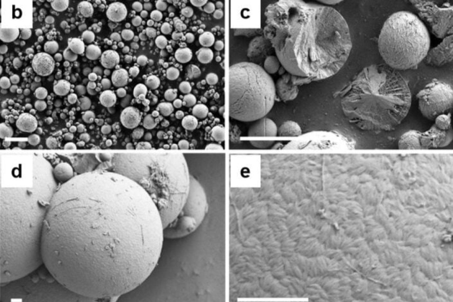 Diseño Sin Título 2025 10 22t163443.317