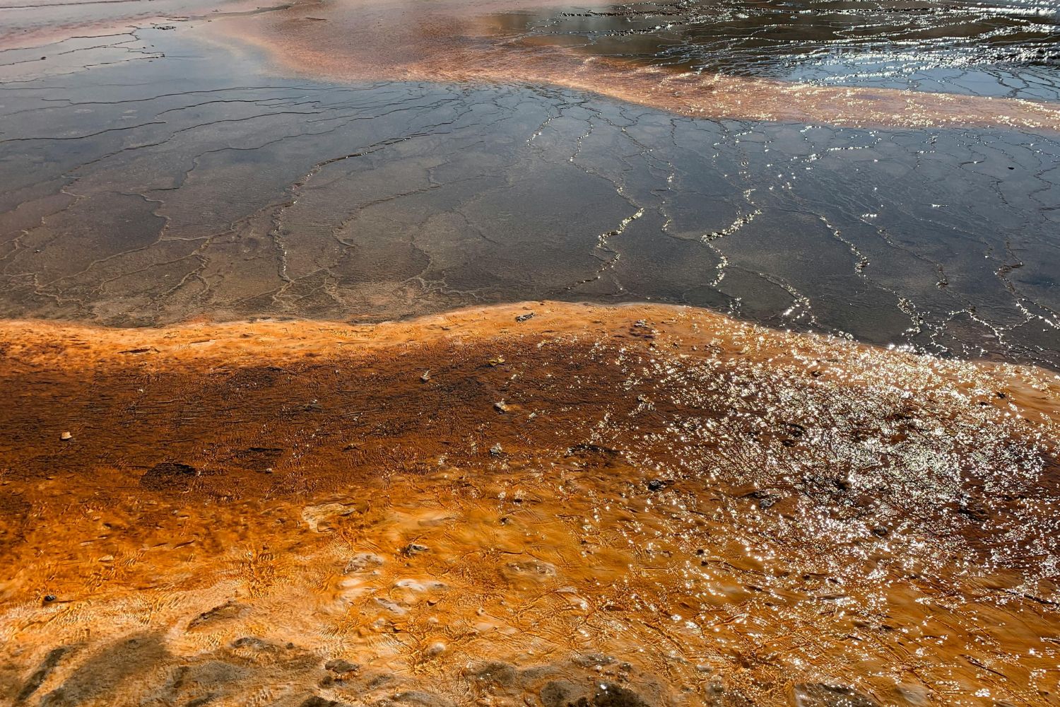 Diseño Sin Título 2025 10 23t115435.559