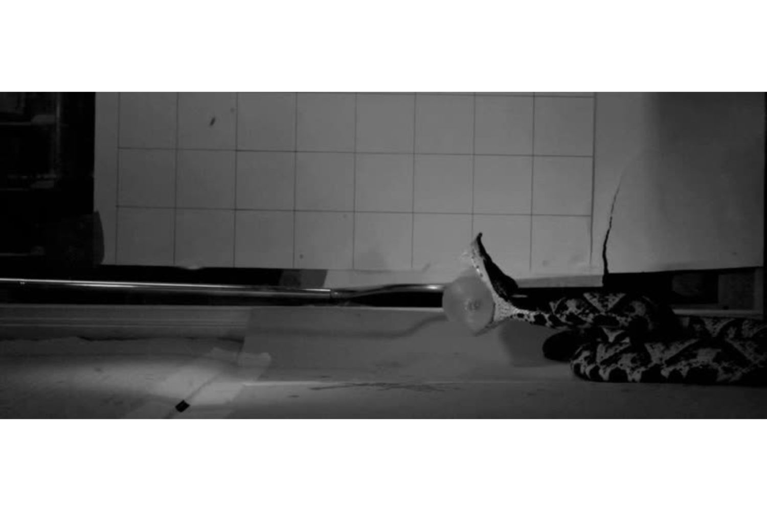 Diseño Sin Título 2025 10 24t091335.151