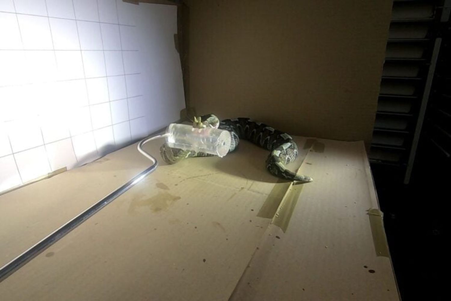 Diseño Sin Título 2025 10 24t091531.148